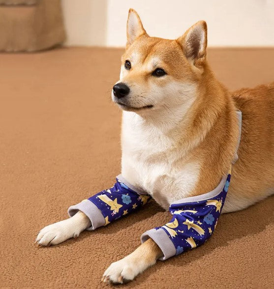 Hunde Kniepolster auf einem Hund mit Schutz für die Gelenke, ideal für Komfort und Heilung.